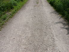 Juni 2008 Viernheimer Wald, Schotterpisten 009