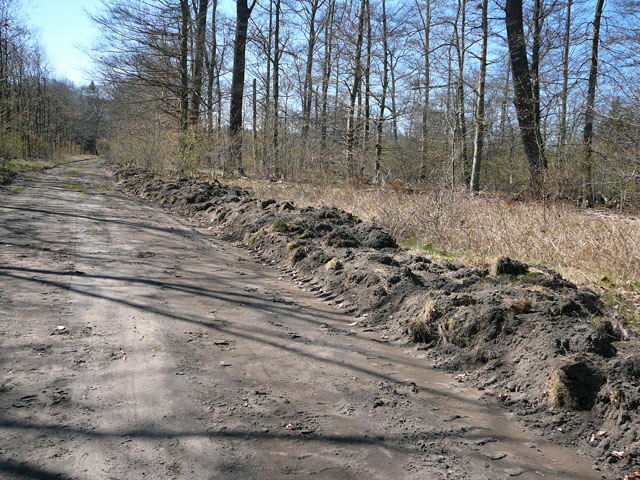 2012-04-01 Waldstraen FFH RW ost u. Bienen 040