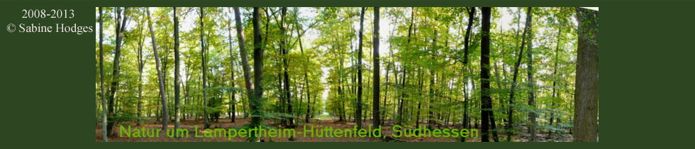 Banner_NaturumHuettenfeld Kopie3
