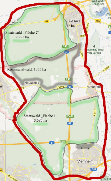 Flche 1 und 2 Kernflchen Hessen-Forst Lampertheim Kopie