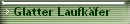 Glatter Laufkfer