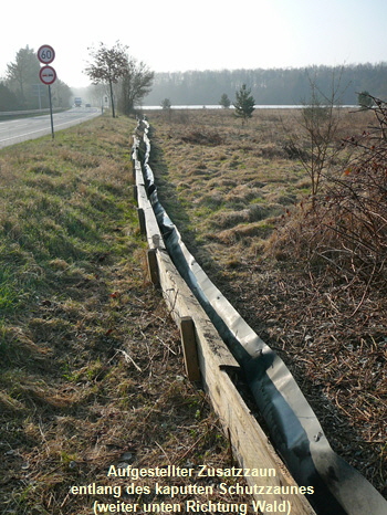 Mrz 2012 Krten + FFH-Wald LA Bienen 001