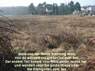 Mrz 2012 Krten + FFH-Wald LA Bienen 006
