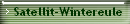 Satellit-Wintereule