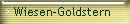 Wiesen-Goldstern