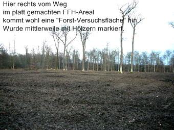 Dez 2009  Viernheimer Wald - Rodung 036