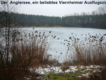 Februar 2010 Harvester Rodung Viernheimer Wald 013