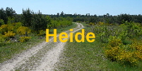 Fotogalerie Heide