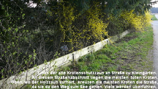 a_Marz_2011_Krotenschutzaktion_Start_18_3_1