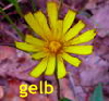 gelb