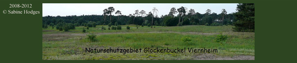 glockenbuckel-banner1