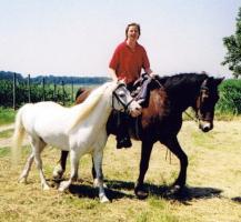 Connor (Welsh-Cob) mit Handpferd Gonna'see (Welsh-A)