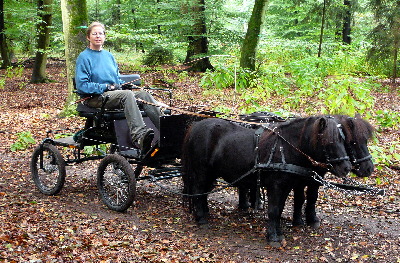 Im Viernheimer Wald mit Micky & Teddy