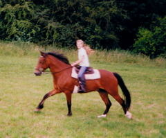 Connor, ca. 15 Jahre jünger 