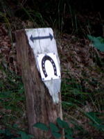 Kennzeichnung vom Forstamt "Empfohlener Reitweg". Man darf sich nicht dran stören, dass diese Schilder "zweckentfremdet" wurden", denn sie sind eigentlich nur für entmischte Gebiete in Hessen angedacht. Und führt zu unnötigen Mißverständnissen.