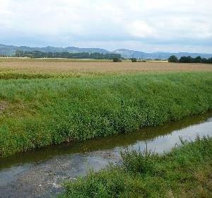 Alte Weschnitz hinter Hüttenfeld mit Blick auf den Odenwald