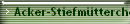 Acker-Stiefmtterchen
