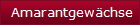Amarantgewchse