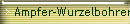 Ampfer-Wurzelbohrer