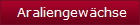 Araliengewchse