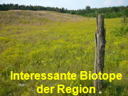 Biotope