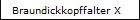 Braundickkopffalter X