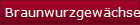 Braunwurzgewchse