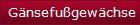 Gnsefugewchse