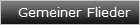 Gemeiner Flieder