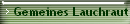 Gemeines Lauchraut (Knoblauchsrauke)