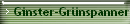 Ginster-Grnspanner