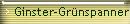 Ginster-Grnspanner