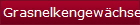 Grasnelkengewchse