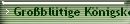 Grobltige Knigskerze X