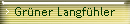 Grner Langfhler