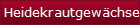 Heidekrautgewchse