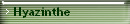 Hyazinthe