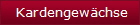 Kardengewchse