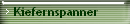 Kiefernspanner