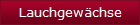 Lauchgewchse