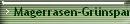 Magerrasen-Grnspanner