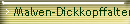 Malven-Dickkopffalter X
