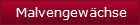 Malvengewchse