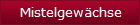Mistelgewchse