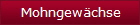 Mohngewchse