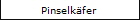 Pinselkfer