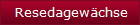 Resedagewchse