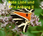 Russischer Br kl.