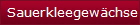 Sauerkleegewchse