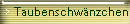 Taubenschwnzchen